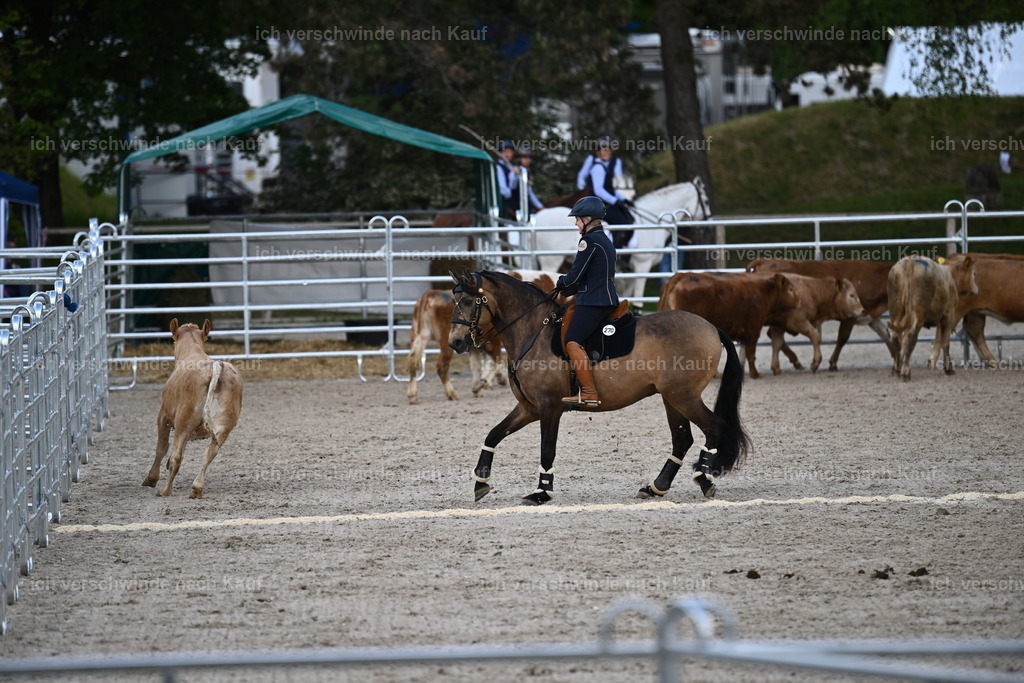 PI26_COW_Sara Landvogt226_7299.JPG | working equitationturnier fotograf videograf stoibphotography marixx film working equitation deutschland reitsport turnierfotografie eventfotografie equestrian events
