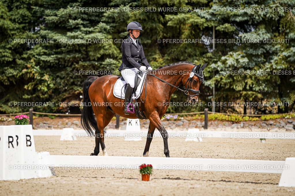 DSC02342 | Pferdegrafie