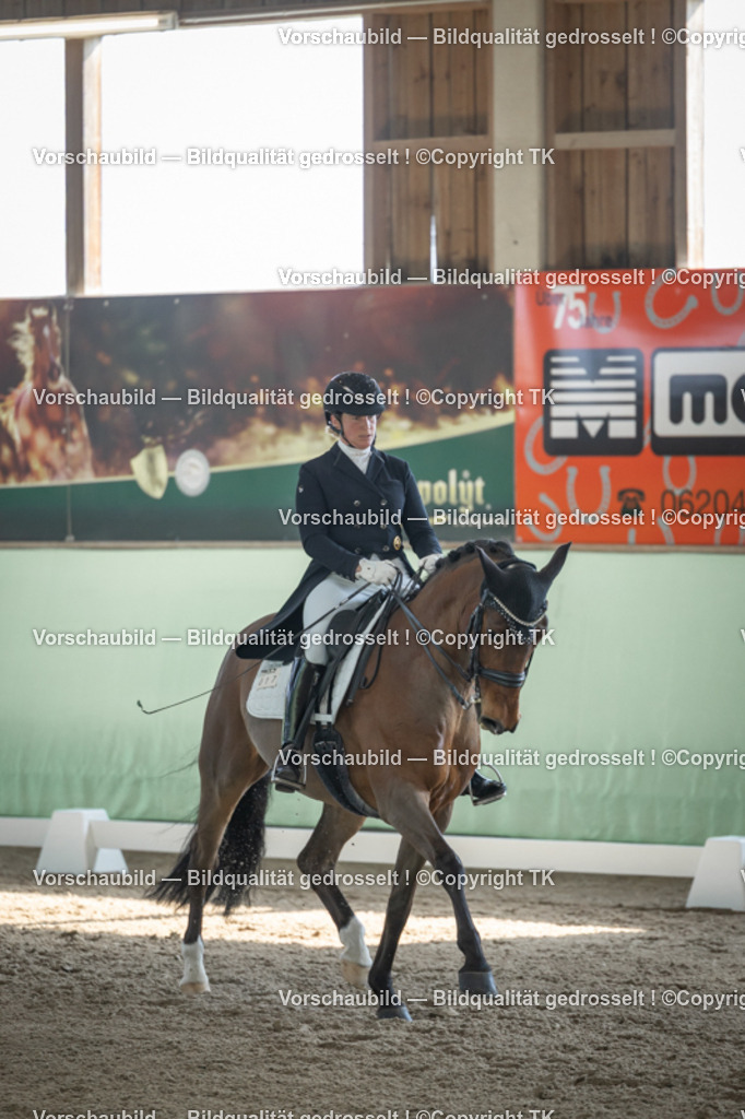 _D5A9718 | Emotionale Pferde- & People-Fotografie rund um Heidelberg, Leimen & Umgebung. Natürliche Fotos von Pferd, Mensch & Familie. Jetzt Termin sichern!