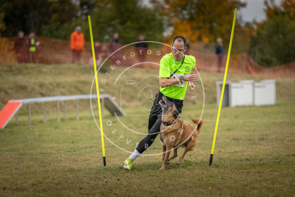 Pfotenfotografie_DV3A8126 | Hundefotografie, Tierfotograf, Pfotenfotografie, Fotoshooting Hund, Hunde Portrait, Hundesport, Hundeportraits, Heideshooting, Hunde, Sportfotograf, Hundefotograf, Turnierhundsport, THS,  - Realisiert mit Pictrs.com