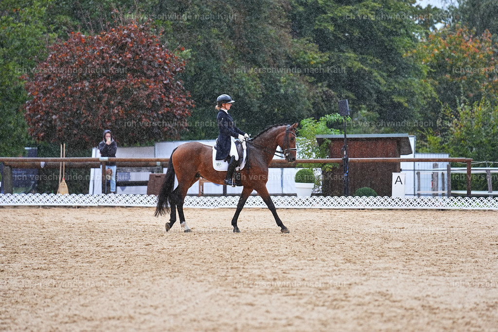 8_1-001-Klasse S_  -Marixx-4331 | working equitationturnier fotograf videograf stoibphotography marixx film working equitation deutschland reitsport turnierfotografie eventfotografie equestrian events