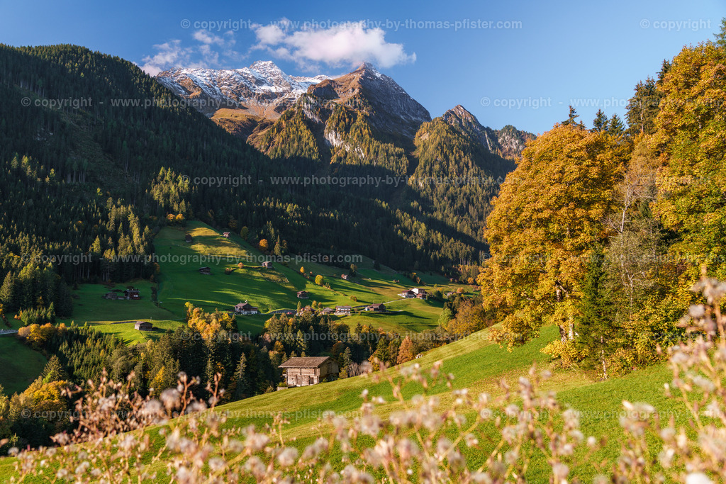Finkenberg Herbst copyright  Thomas Pfister-4 | PHOTOGRAPHY BY THOMAS PFISTER