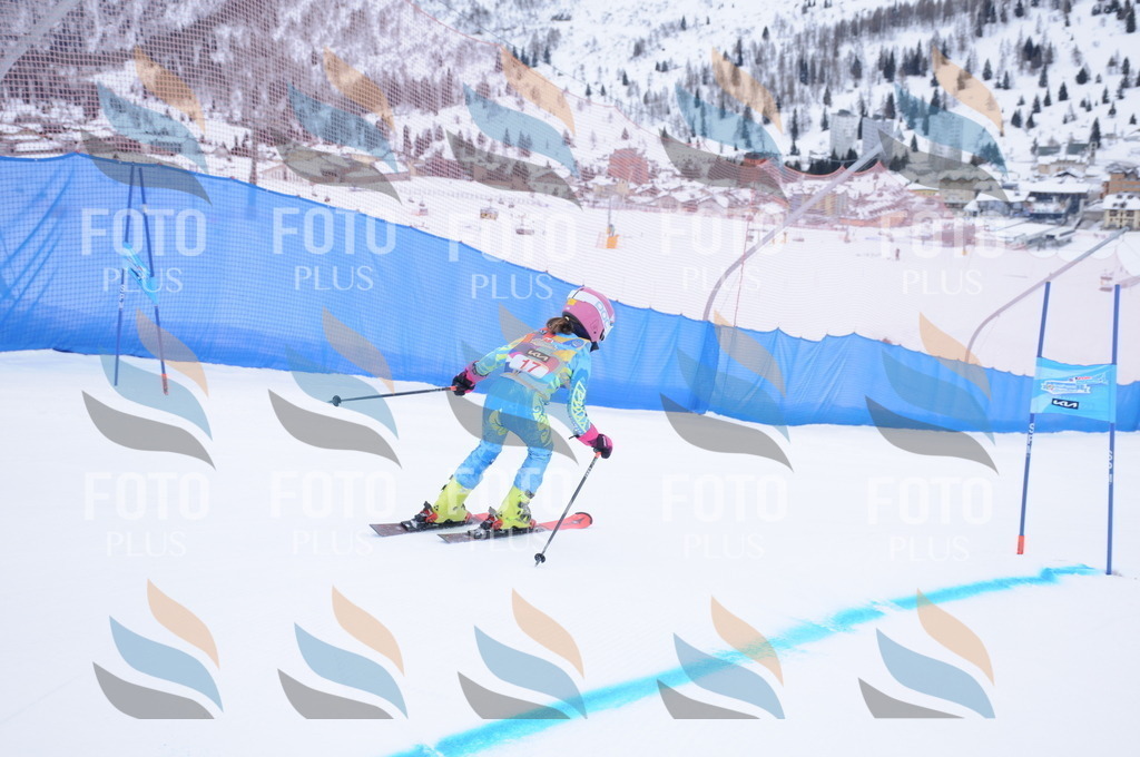 DSC_7680 | holidayphoto