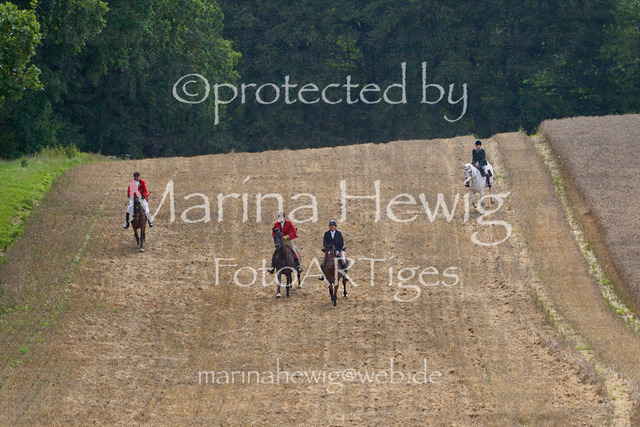 _MCH8146_Marina Hewig | Fotografie, FotoArt, PferdesportArt, Pferdesportfotografie, Landschaftsfotografie, Reisefotografie, Reise, Pferde - Realisiert mit Pictrs.com