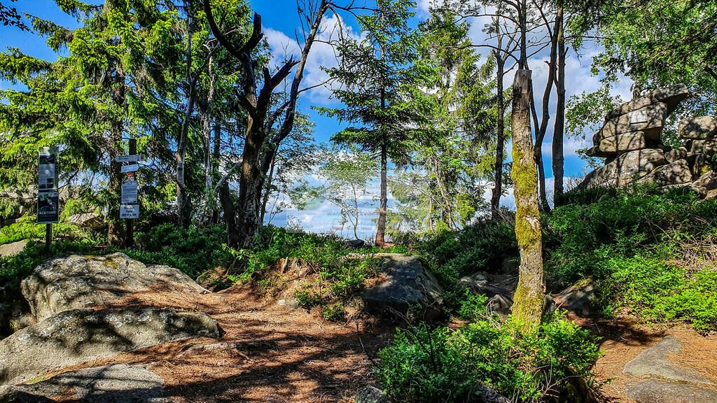 Platte Frühling | Impressionen rund um Hochfranken - Frankenwald - Fichtelgebirge - Realisiert mit Pictrs.com