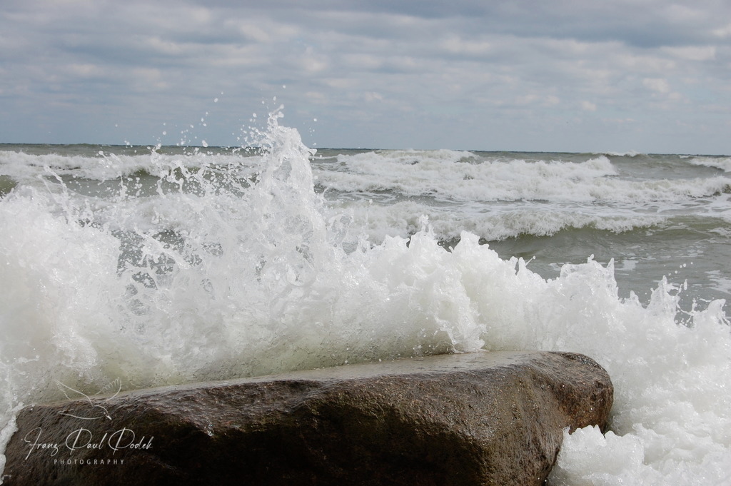 678F7F25-A0C2-4E28-AF31-B2DF66B1CBF0 | Franz Podek