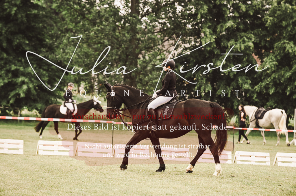 DSC_4916 | Pferde- und Turnierfotografie in Westsachsen. Pferdeportraits, Auftragszeichnungen und intuitive Kunst.