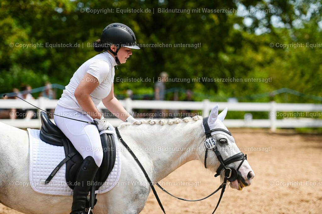 20230715_05_Dressurprüfung Kl.A++_0295 | equistock