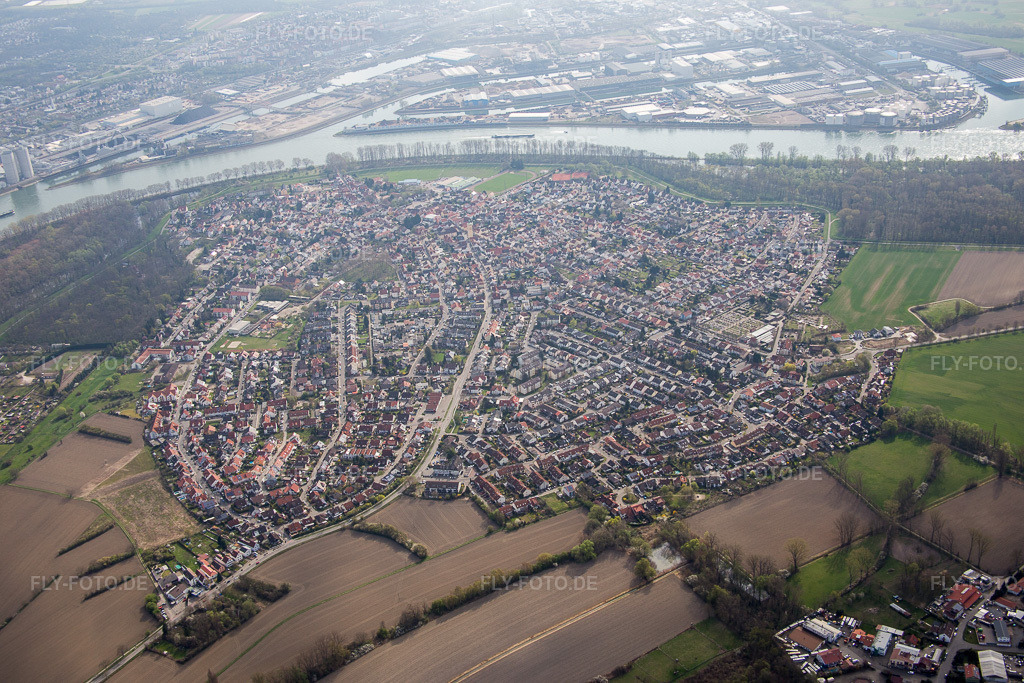 Luftbild: Ortsansicht der Straßen und Häuser der Wohngebiete in Altrip im Bundesland Rheinland-Pfalz in Deutschland. Foto: IMG_076943.jpg vom 12.04.2015 durch Werner Riehm/FLY-FOTO.de
