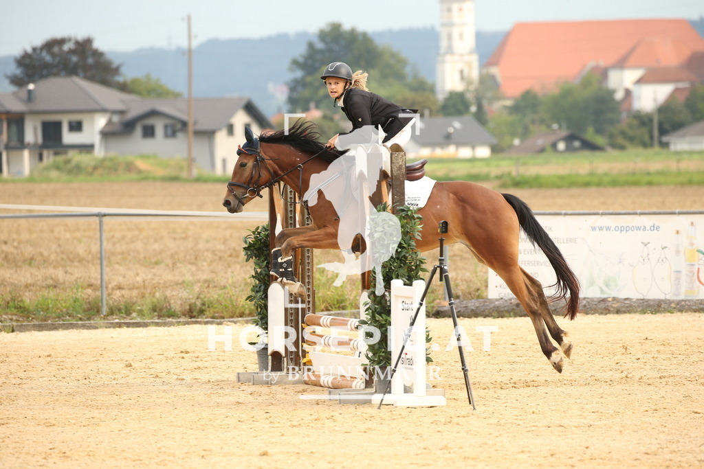 DL2Q3261 | Willkommen bei Brunnmayr - Design & Fotografie – Ihrem Spezialisten für Reitturniere und Pferdeveranstaltungen in Oberösterreich, Salzburg und Bayern! Seit über 17 Jahren sind wir leidenschaftlich dabei.