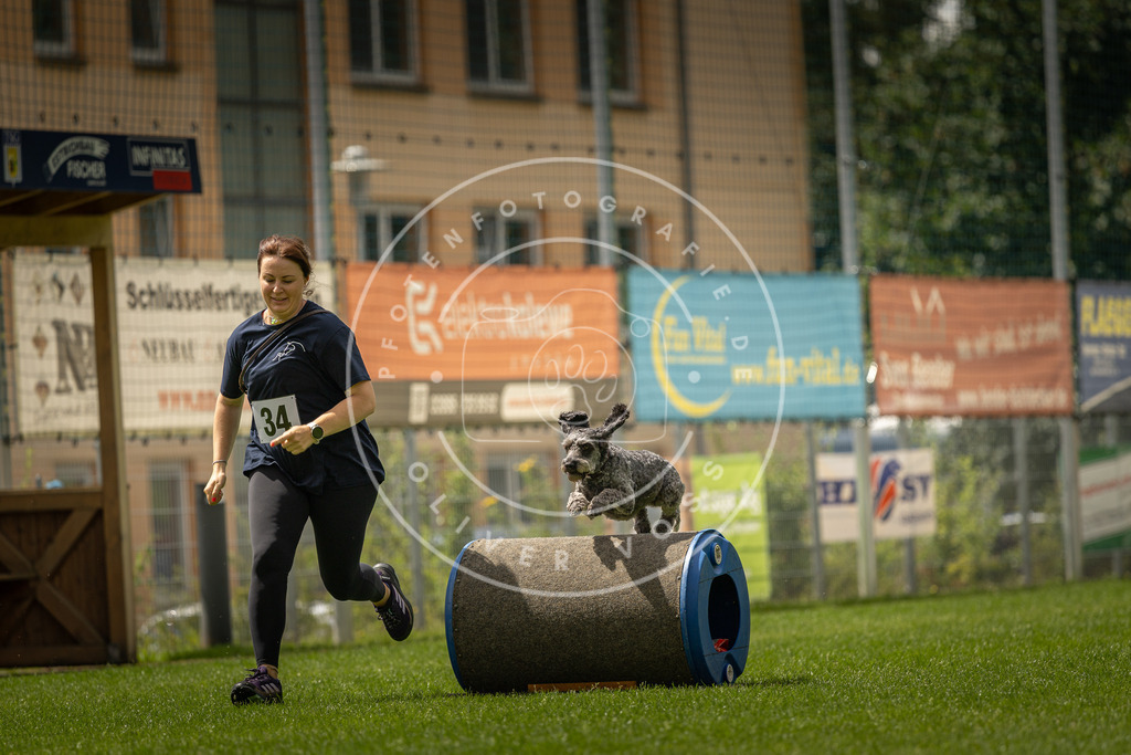 Pfotenfotografie_DV3A3355 | Hundefotografie, Tierfotograf, Pfotenfotografie, Fotoshooting Hund, Hunde Portrait, Hundesport, Hundeportraits, Heideshooting, Hunde, Sportfotograf, Hundefotograf, Turnierhundsport, THS,  - Realisiert mit Pictrs.com