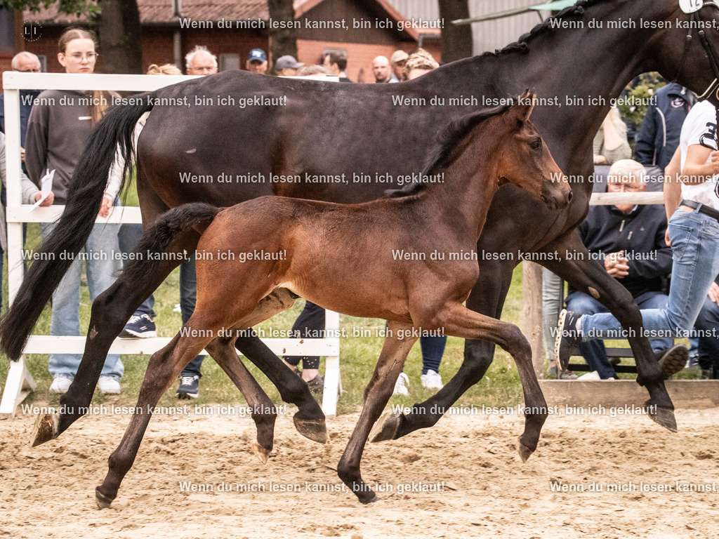 A10I5969 | photographylinaismer - Realisiert mit Pictrs.com
