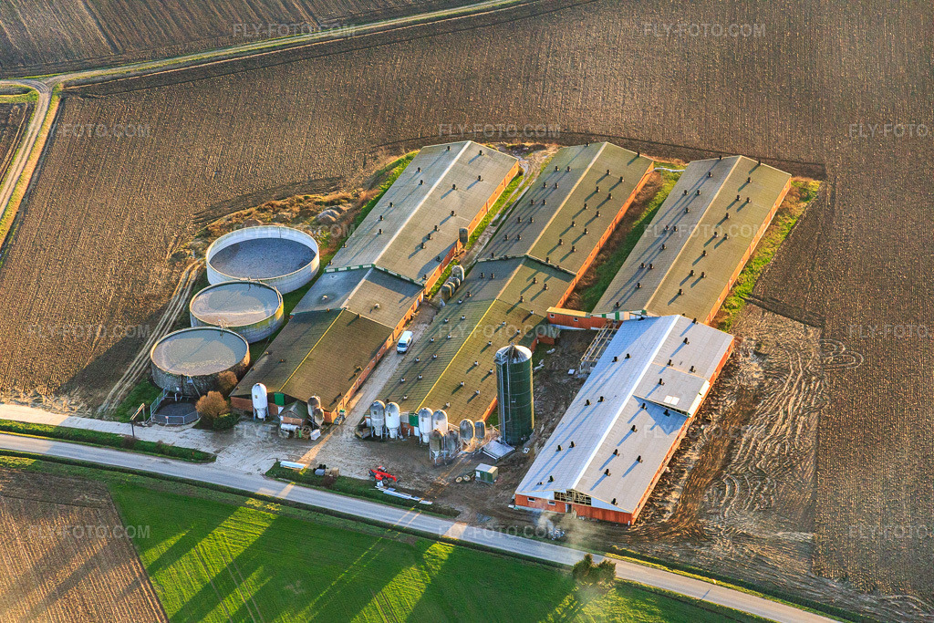 Aerial view: Halls for pig farming with biogas plant in Wintzenbach in the state Bas-Rhin, France.Photo: IMG_086028.jpg taken on 02/06/2016 by Werner Riehm/FLY-FOTO.comResolution of the original: 5472 x 3648 px