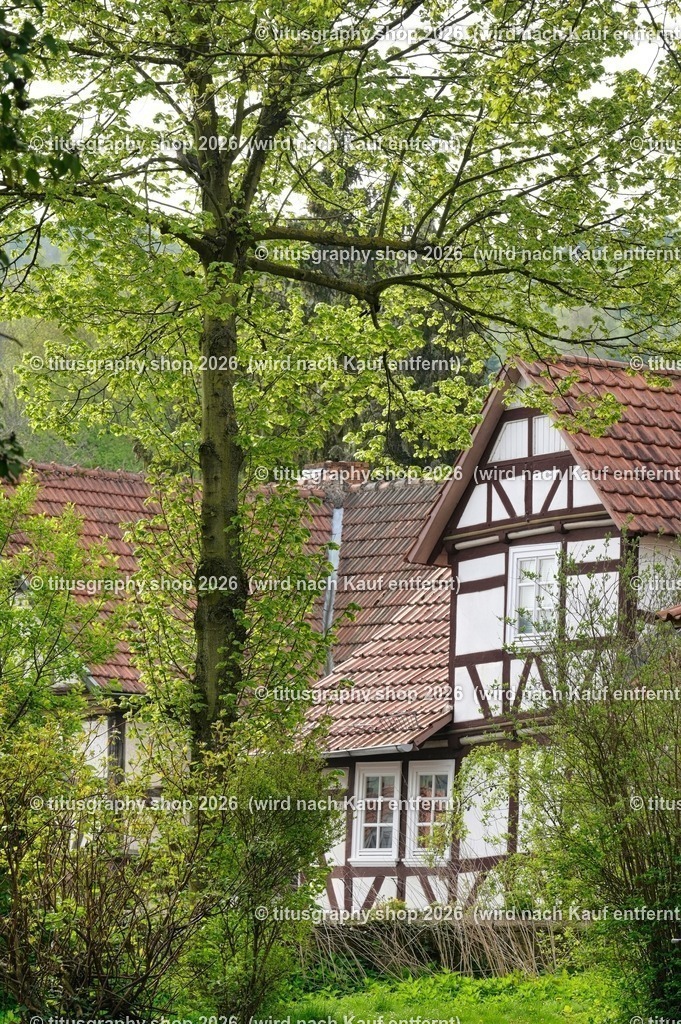 Oberkaufungen | titusgraphy-shop: Geschenkideen mit Qualitätsfotos. titusgraphy-shop: gift ideas with quality photos. titusgraphy-shop: idées cadeaux avec photos de qualité.  - Realisiert mit Pictrs.com