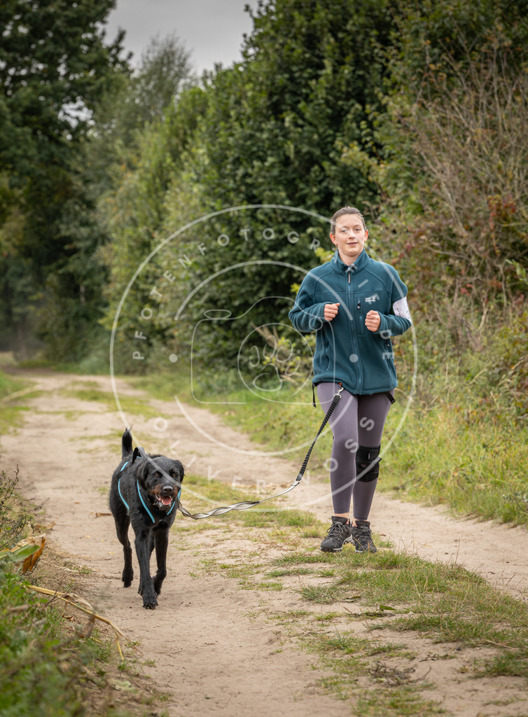 Pfotenfotografie_DV3A8464 | Hundefotografie, Tierfotograf, Pfotenfotografie, Fotoshooting Hund, Hunde Portrait, Hundesport, Hundeportraits, Heideshooting, Hunde, Sportfotograf, Hundefotograf, Turnierhundsport, THS,  - Realisiert mit Pictrs.com