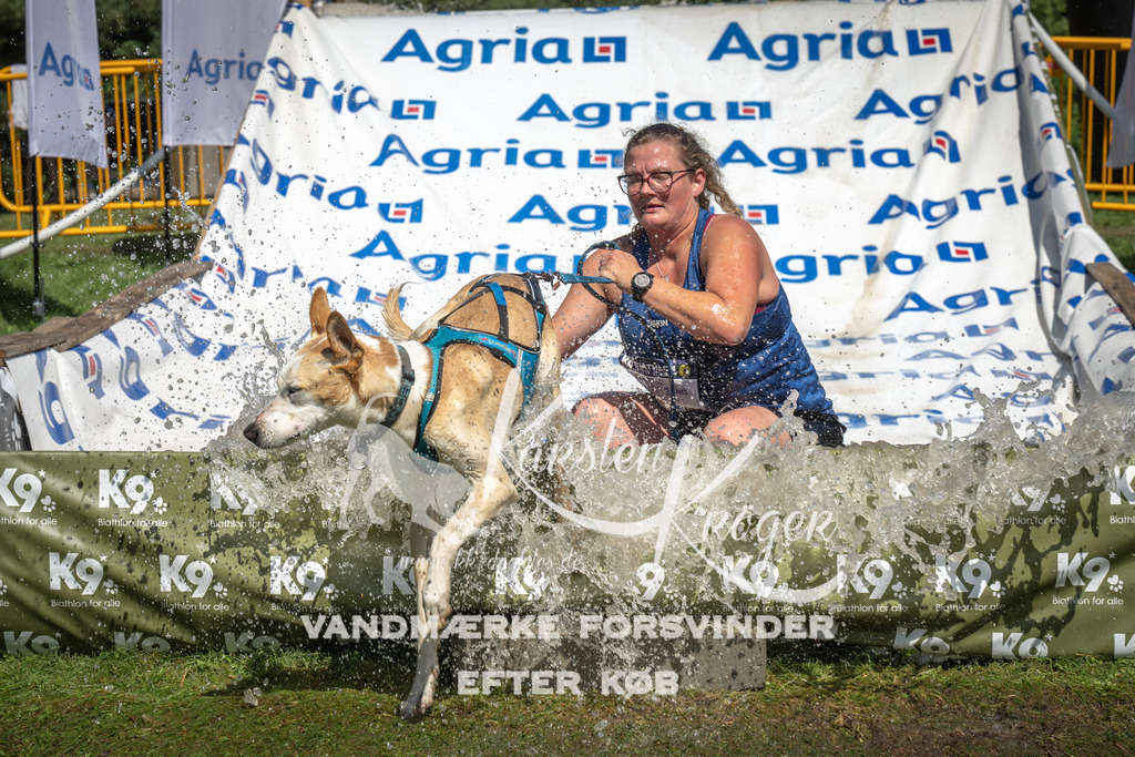 1409_ZZ92831 | kk-dogfotos