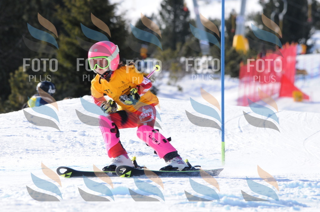 C6967 | holidayphoto