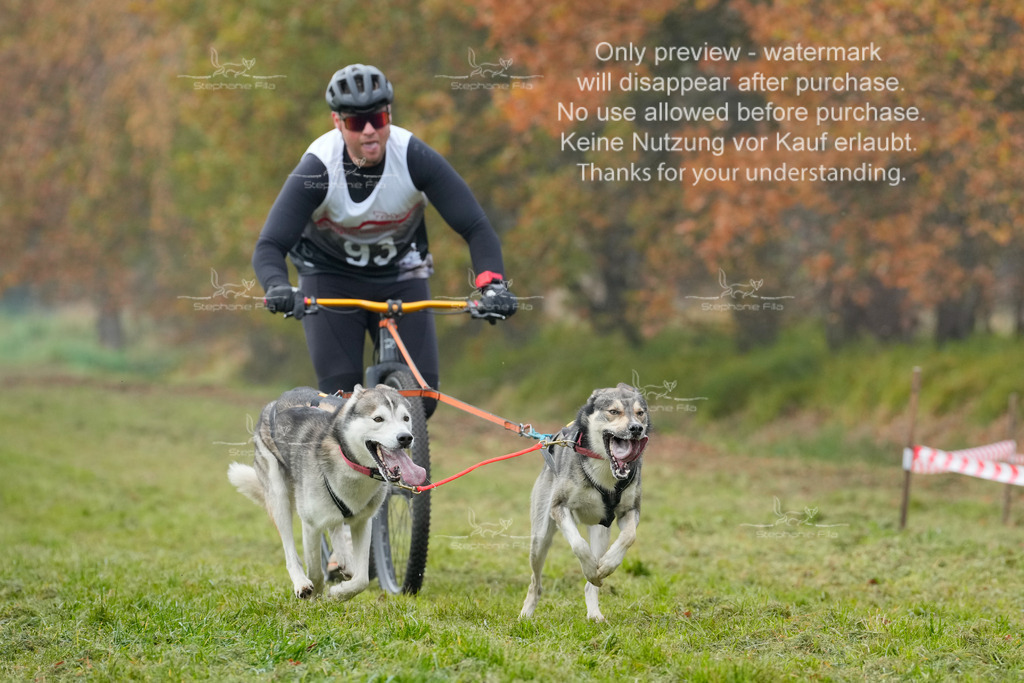 Visbeck_Sa_DS2DR2-8 | stephaniefillaphotographie - Realisiert mit Pictrs.com