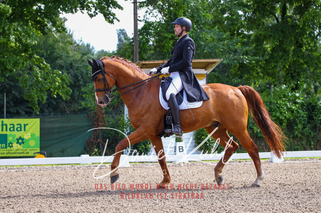DKP41270 | Deine Turnierfotos vom Reitturnier online kaufen: Dressur, Springen & Siegerehrung. Professionelle Pferdefotografie aus dem Rheinland – als Download & Print.Alternative: Turnierfotograf für den Pferdesport: Finde deine Fotos von Dressur- und Springturnier