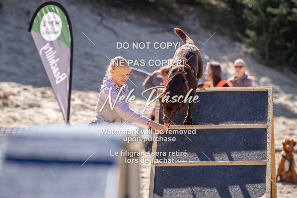 NR__0725 | nelerasche