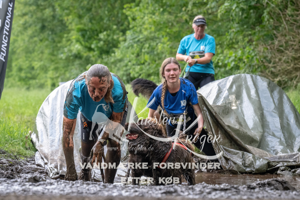 1243_ZZ93256 | kk-dogfotos