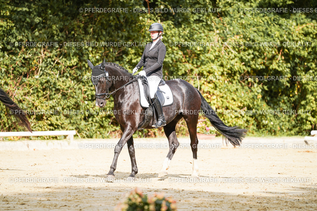 DSC02189 | Pferdegrafie