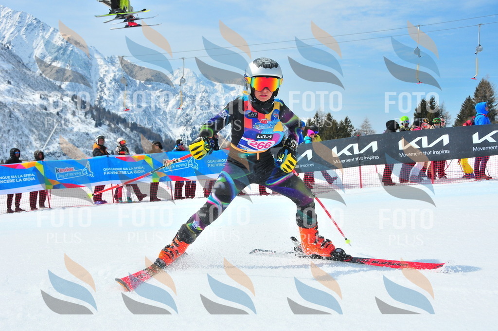 DSC_6239 | holidayphoto