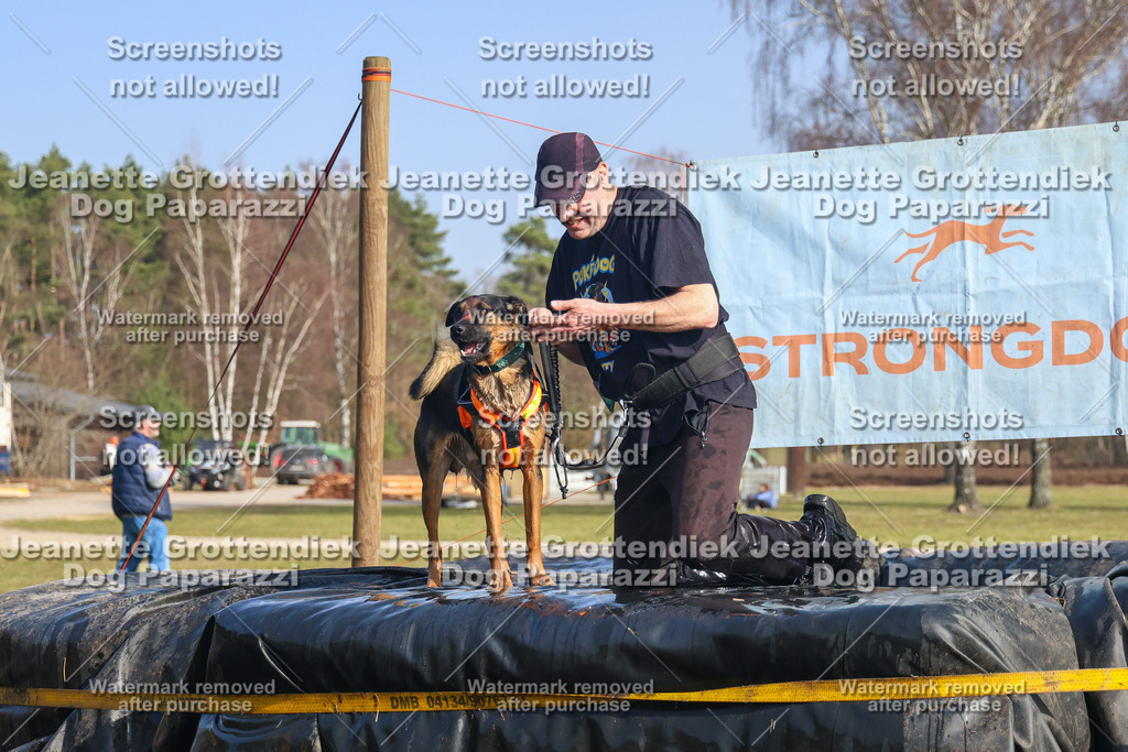 Dog Paparazzi - Strongdog North Mrz26-2939 | Dog Paparazzi Jeanette Grottendiek Fotografie & Videografie - Realisiert mit Pictrs.com