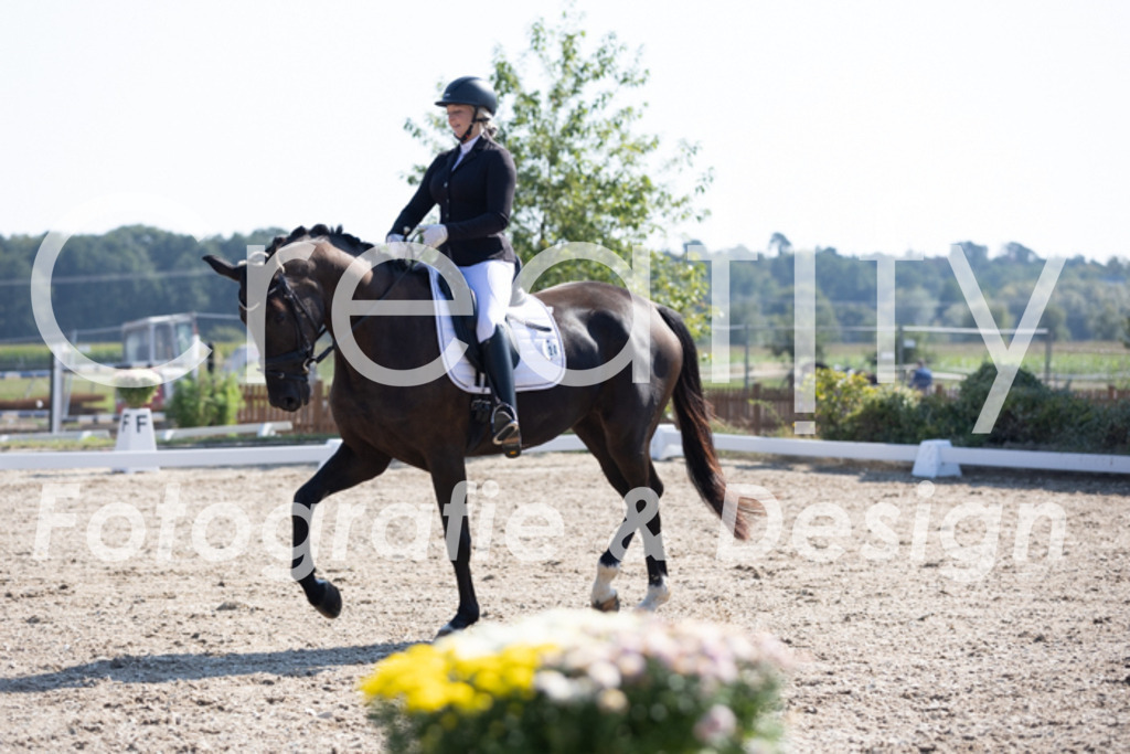 IMG_3936 | Creatify Fotografie