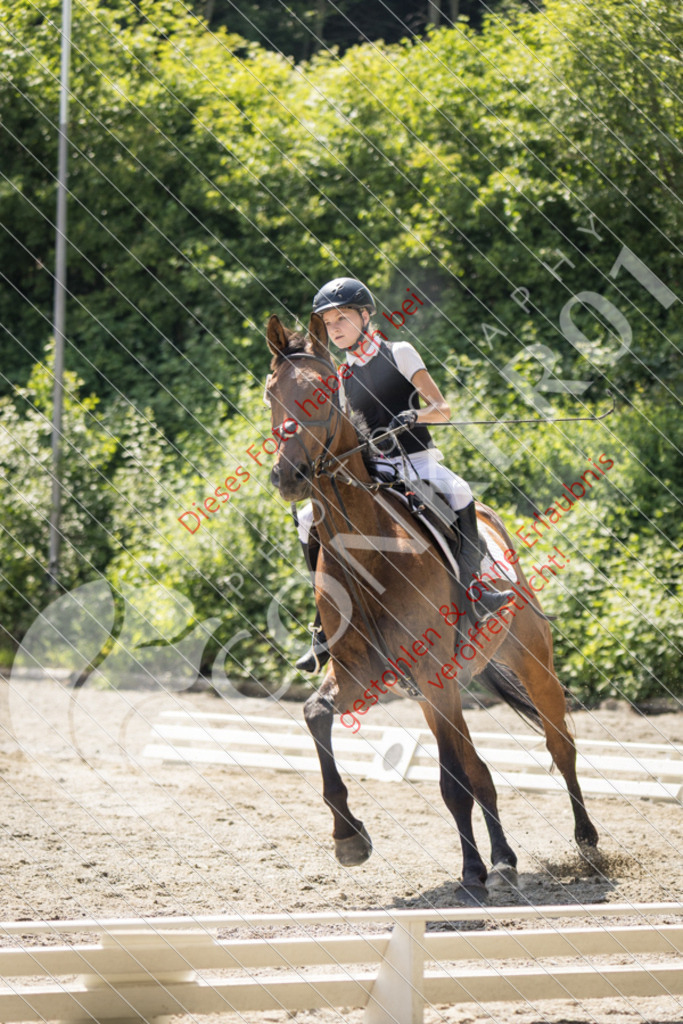 IMG_4578 | Sport-, Event- und Tierfotos in Profiqualität. Einfach auswählen, bestellen und herunterladen. Dein Moment – perfekt festgehalten.