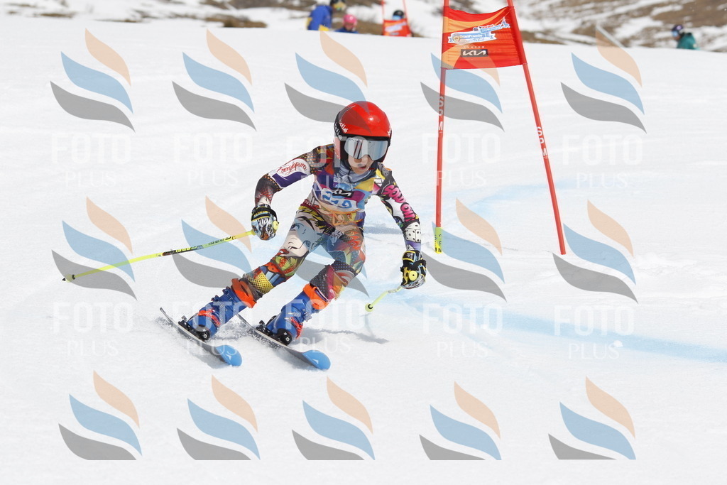 _U3G2228 | holidayphoto