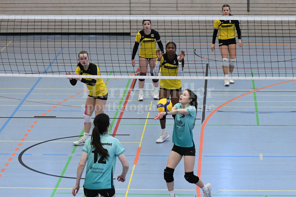 TSV Deggendorf Damen  : FC Ruderting | TSV Deggendorf Damen Volleyball - Realisiert mit Pictrs.com