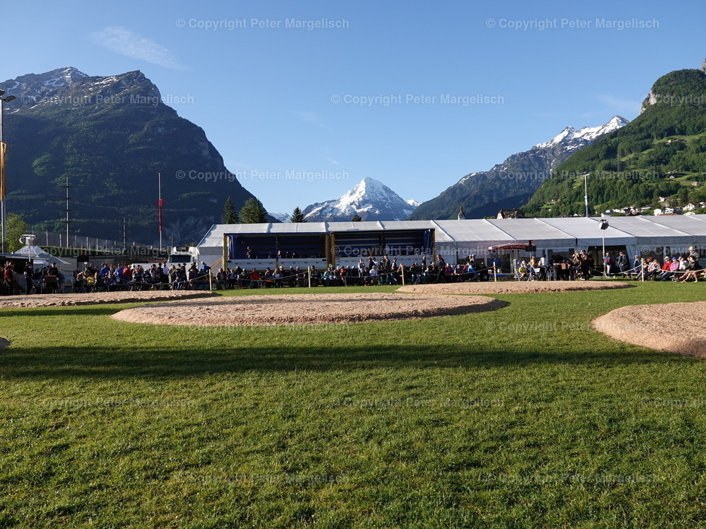 DSC07330 | Schwingen - Realisiert mit Pictrs.com