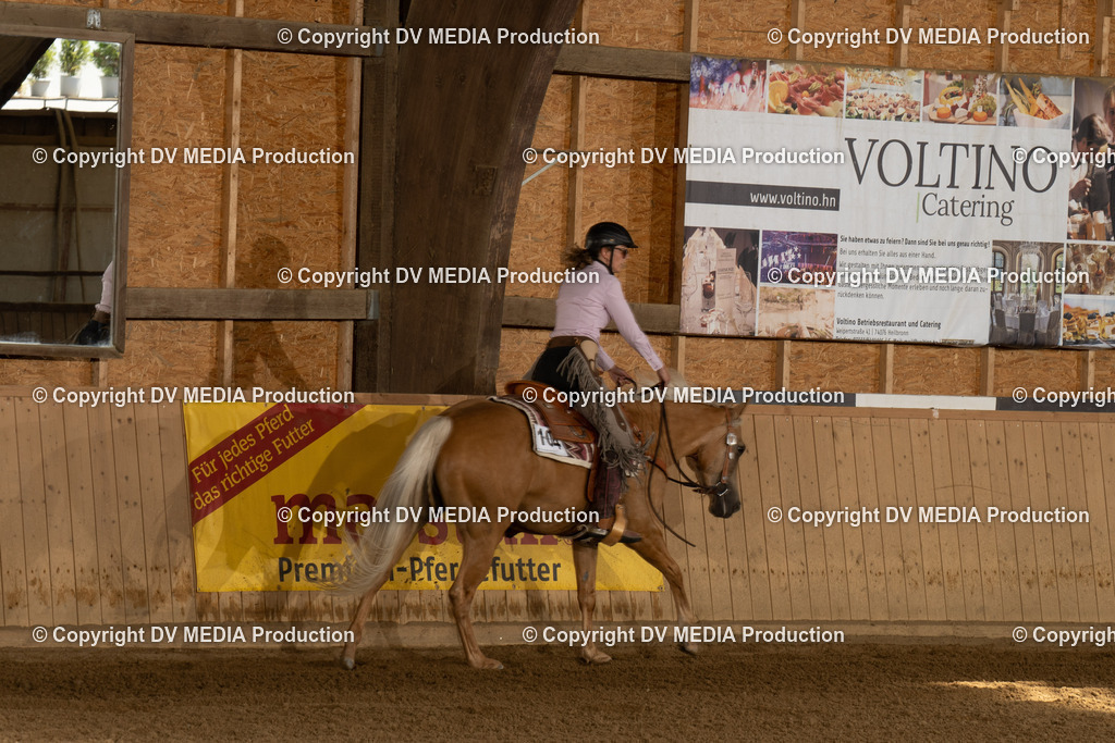 NE100662 | dv-media-shop - Realisiert mit Pictrs.com