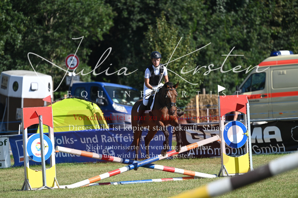 DSC_5303 | Pferde- und Turnierfotografie in Westsachsen. Pferdeportraits, Auftragszeichnungen und intuitive Kunst.