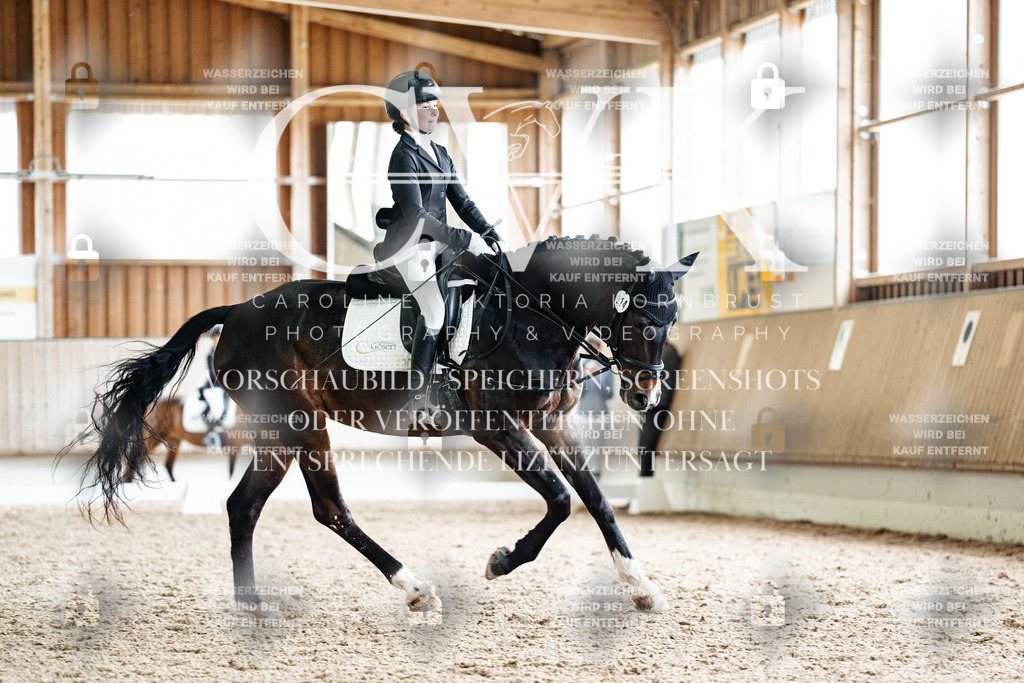 CK901306 | Turnierfotografie Pferdefotografie Trier Rheinland-Pfalz Pferdesport Reitsport Tierfotografie Sportfotografie Pferdevideo Pferdevideografie Equestrianvideography equestrianphotography  - Realisiert mit Pictrs.com