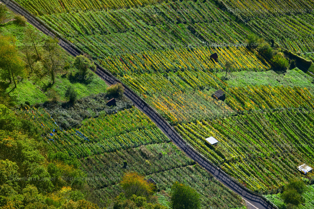 3491154 | Weinberge bei Klingenberg