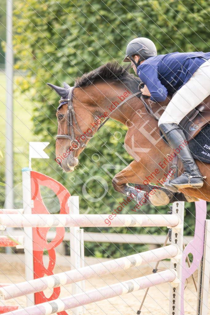 CON_6532 | Sport-, Event- und Tierfotos in Profiqualität. Einfach auswählen, bestellen und herunterladen. Dein Moment – perfekt festgehalten.