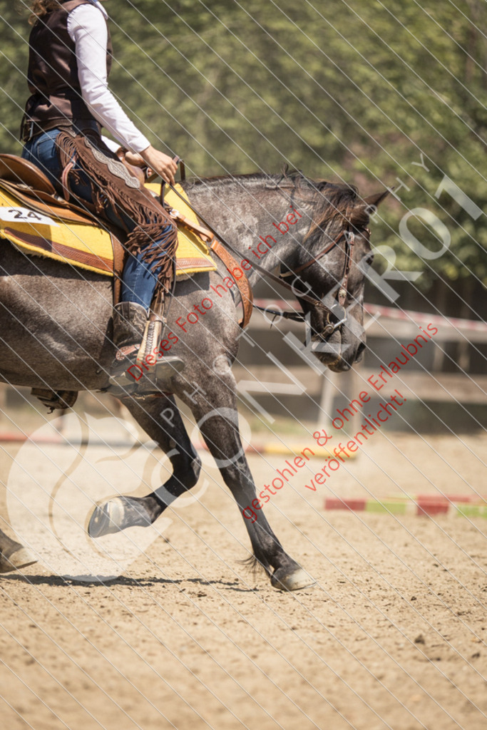 IMG_0070 | Sport-, Event- und Tierfotos in Profiqualität. Einfach auswählen, bestellen und herunterladen. Dein Moment – perfekt festgehalten.
