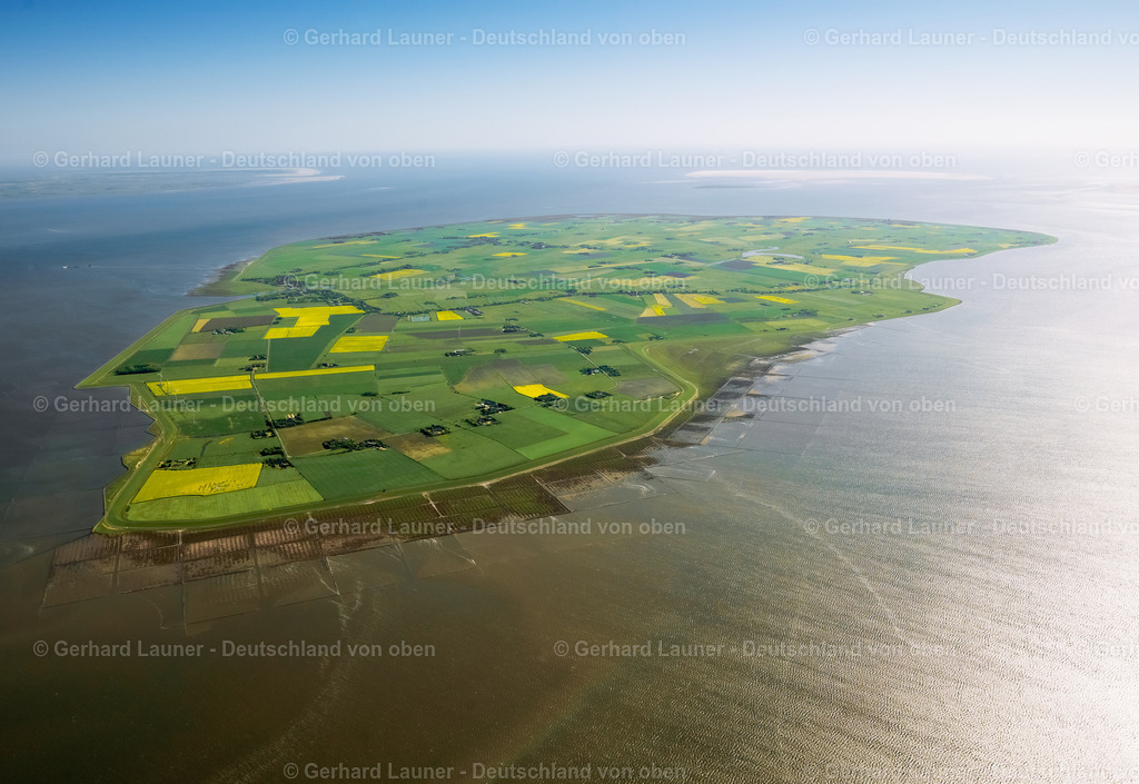 3091362 | Pellworm, Nationalpark Schleswig-Holsteinisches Wattenmeer