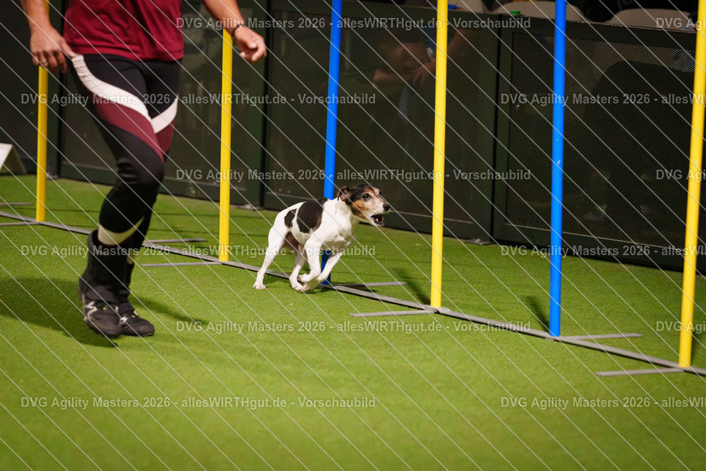 allesWIRTHgut_Tierfotografie-DVG_Agility_Masters_2026-18_03-7R506394 | Professionelle Tierfotografie in Mönchengladbach von Daniel Wirth (allesWIRTHgut). Liebevolle & natürliche Bilder von Hunden & Katzen für unvergessliche Erinnerungen.