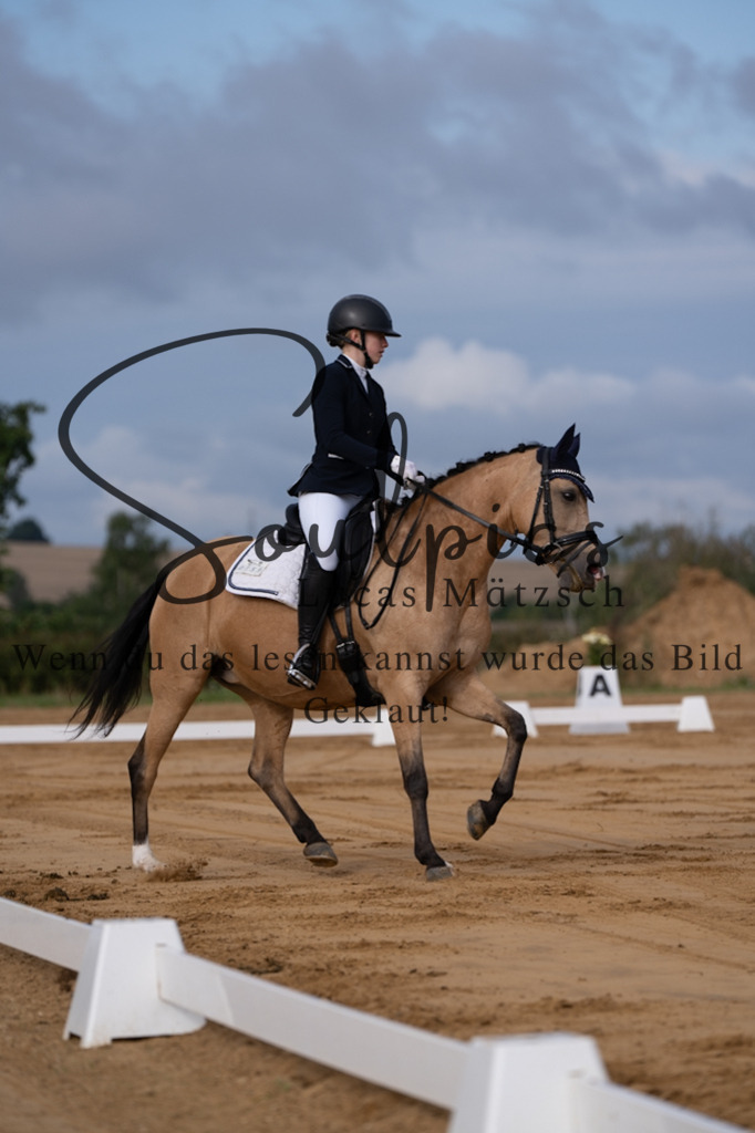 A7V05093 | Pferdefotograf