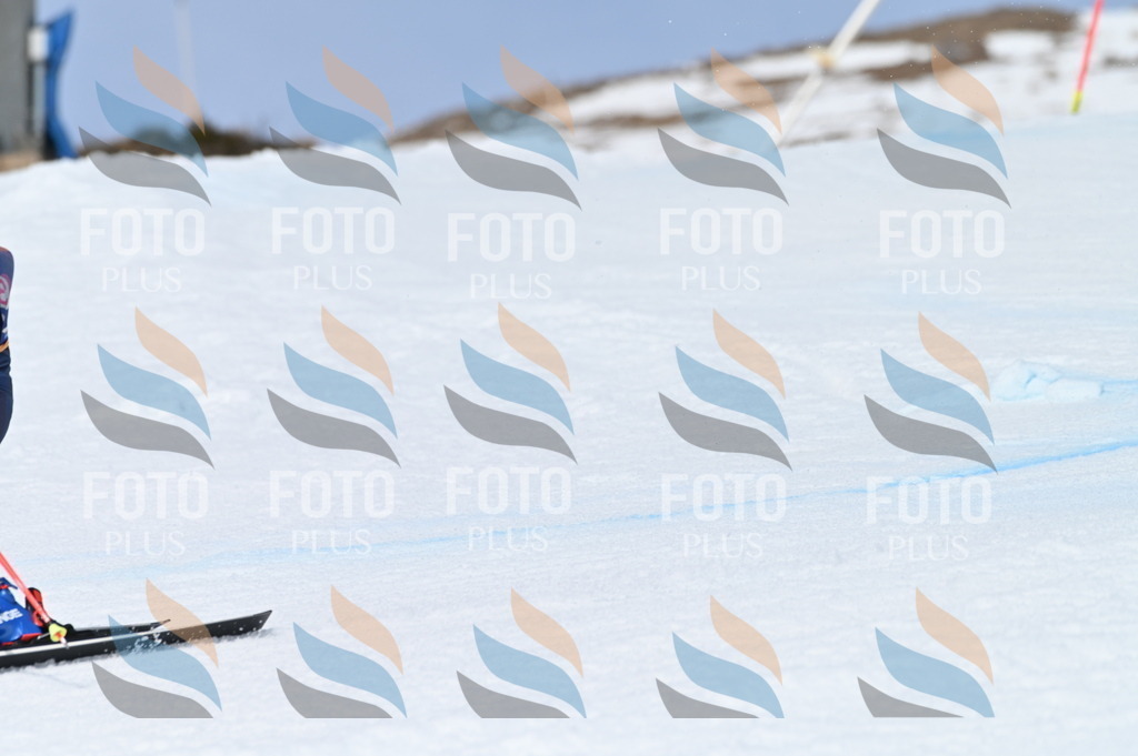 BGV_4066 | holidayphoto