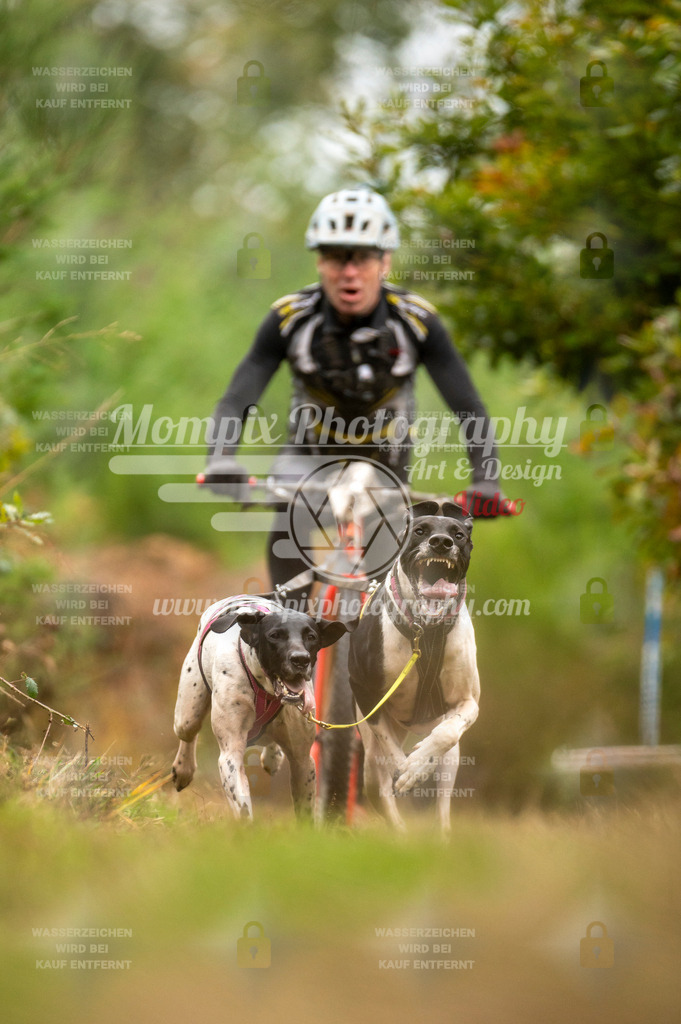 TSB_2023_E5_DS2-3 | PayLife