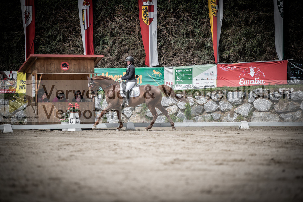 DSC_2908 | equestrian-live-com