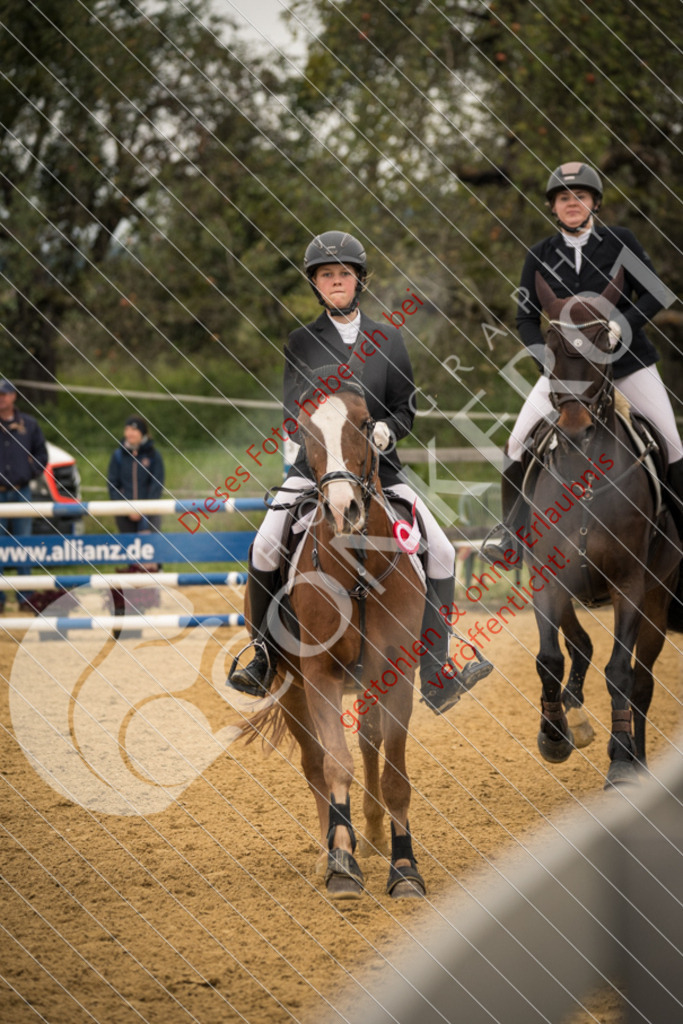DSC_7581 | Sport-, Event- und Tierfotos in Profiqualität. Einfach auswählen, bestellen und herunterladen. Dein Moment – perfekt festgehalten.