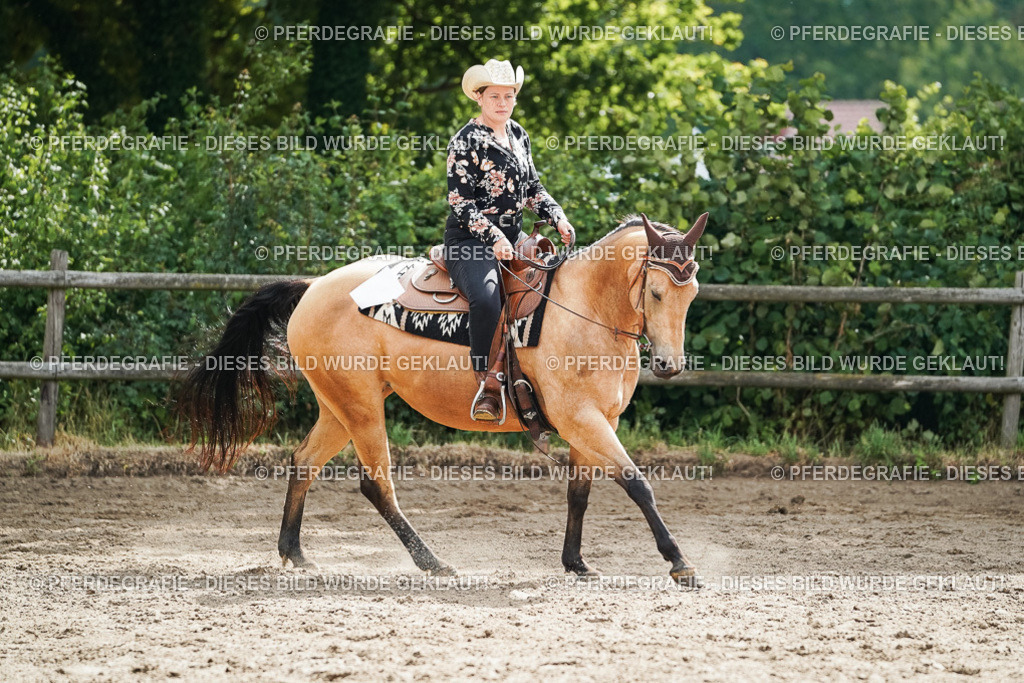 DSC04185 | Pferdegrafie