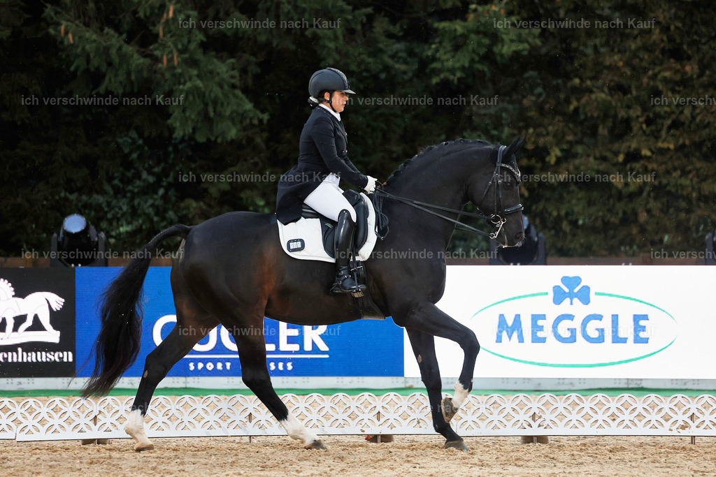8_2-183-DRESSUR S_  -StoibPH-4550 | working equitationturnier fotograf videograf stoibphotography marixx film working equitation deutschland reitsport turnierfotografie eventfotografie equestrian events