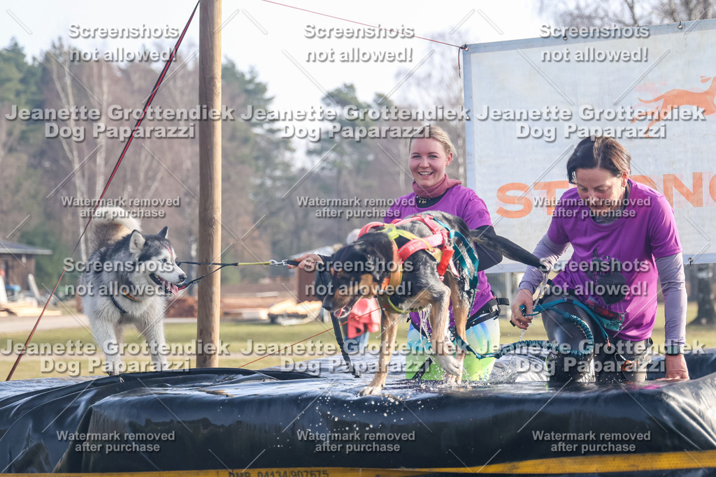 Dog Paparazzi - Strongdog North Mrz26-54 | Dog Paparazzi Jeanette Grottendiek Fotografie & Videografie - Realisiert mit Pictrs.com