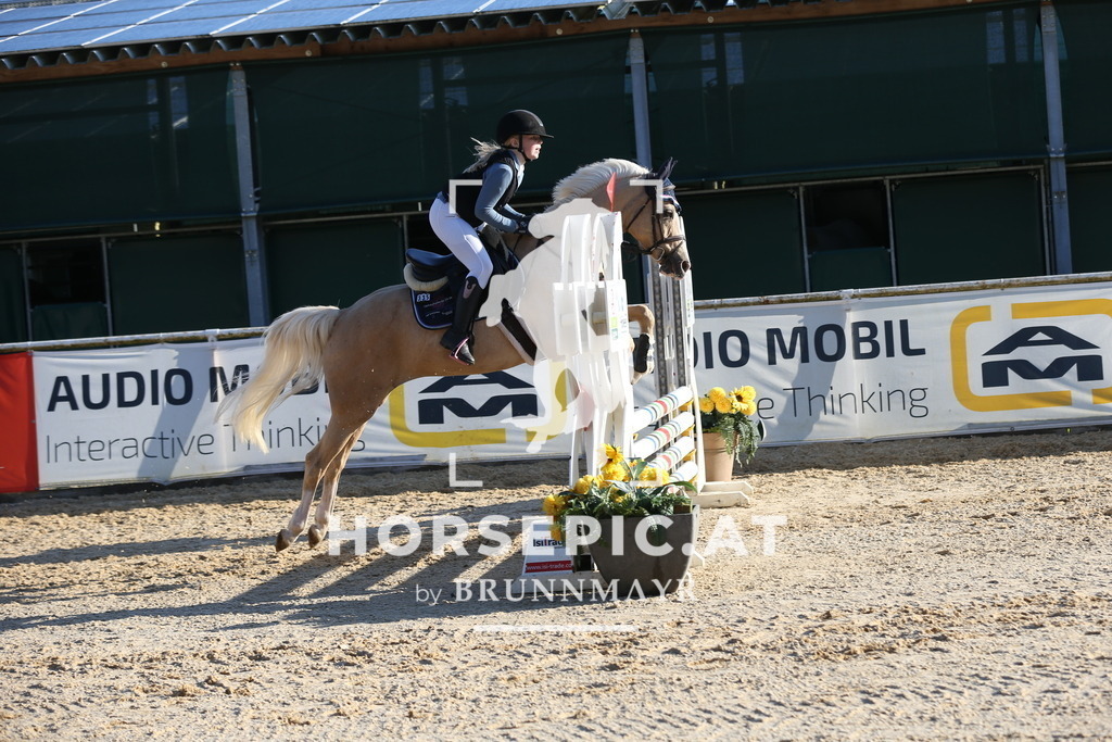 DL2Q7400 | Willkommen bei Brunnmayr - Design & Fotografie – Ihrem Spezialisten für Reitturniere und Pferdeveranstaltungen in Oberösterreich, Salzburg und Bayern! Seit über 17 Jahren sind wir leidenschaftlich dabei.